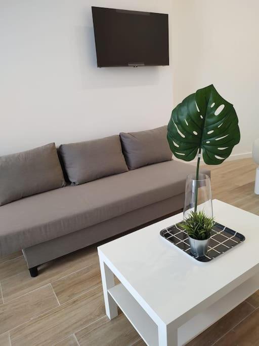 شقة Nuevo Loft En Playa Y Cerca Del Centro, Ac Y Wifi فالنسيا المظهر الخارجي الصورة